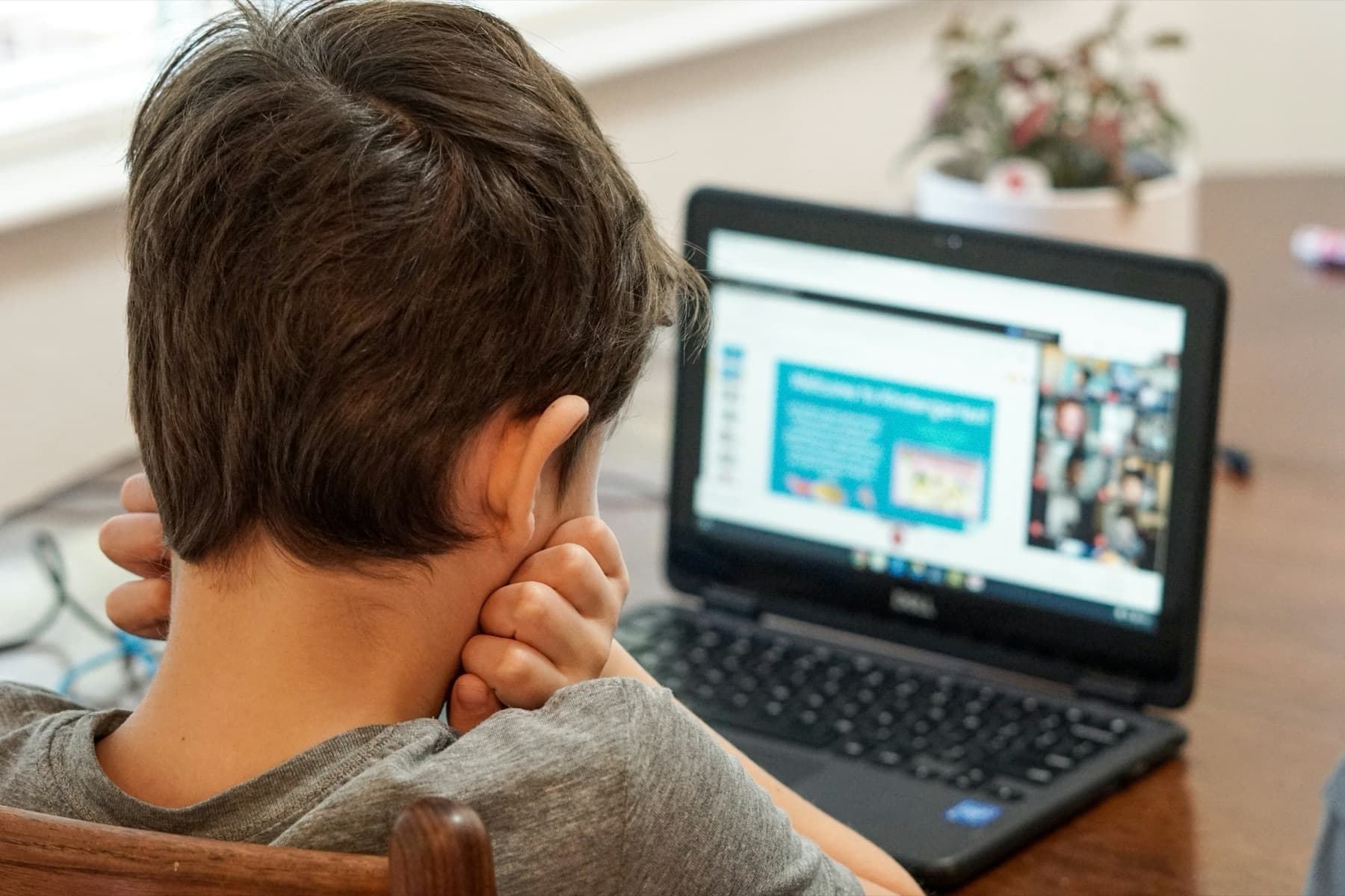 A young boy seen from behind, hand on the back of his neck, watching a class on a laptop screen